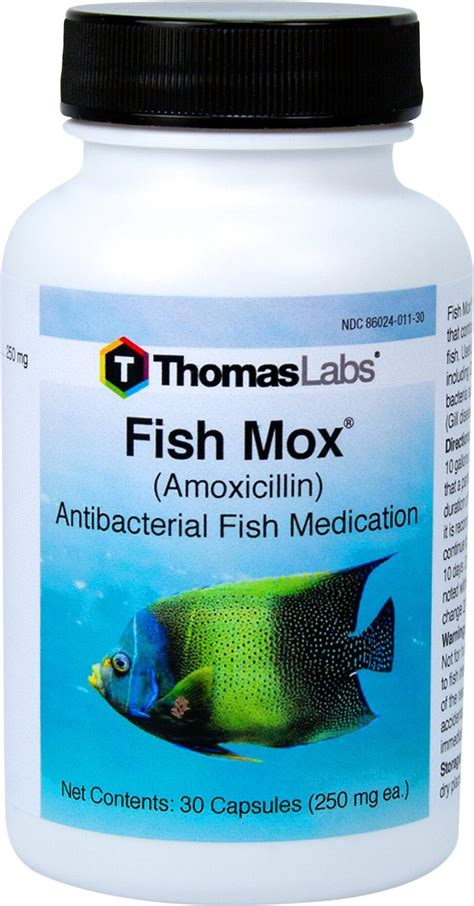 thomas labs fish mox|Fish mox 250 mg 100 Capsules : Trusted fish Pharmacy Thomas labs